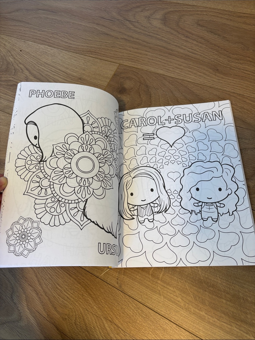 FRIENDS Book Set - Picture 8 of 13